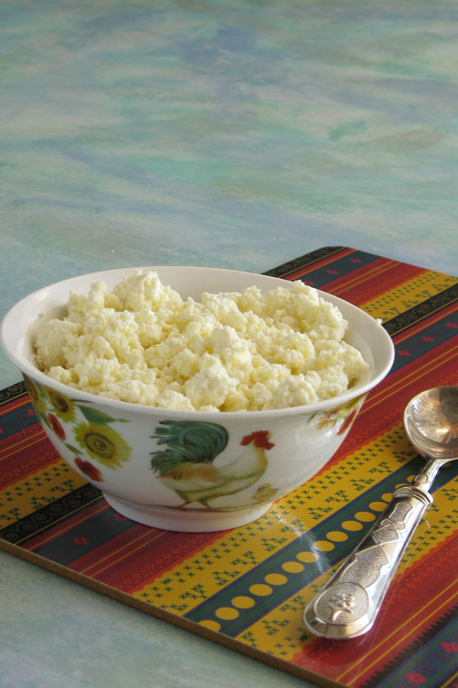 Ricotta cheese
