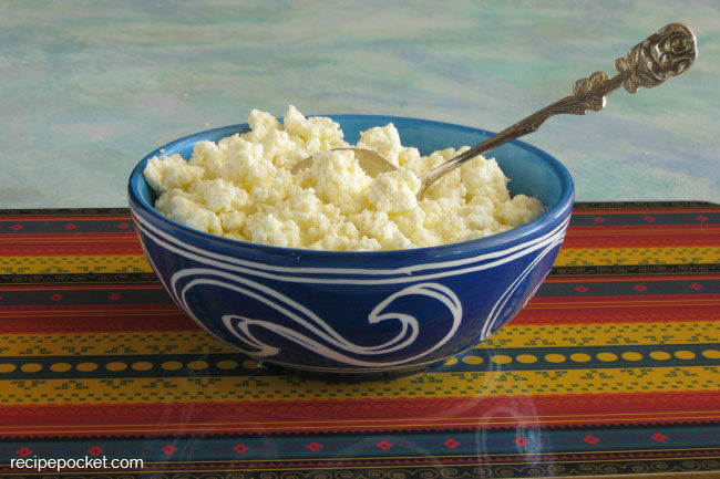Fresh homemade ricotta cheese
