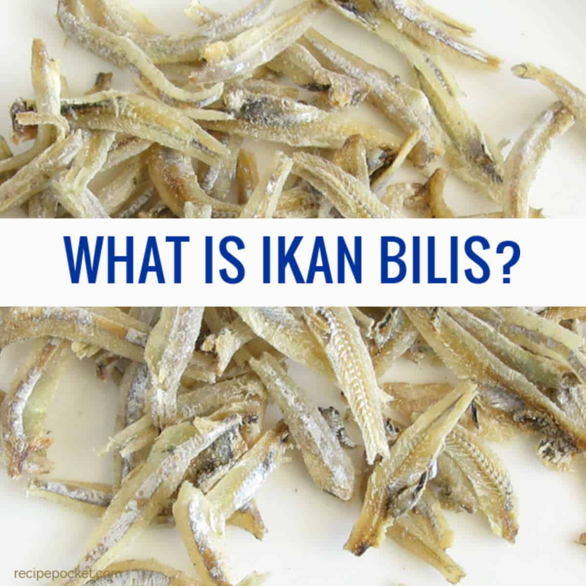 Small dried fish.
