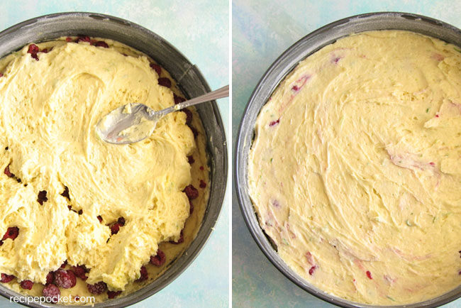 Raspberry Greek yogurt cake