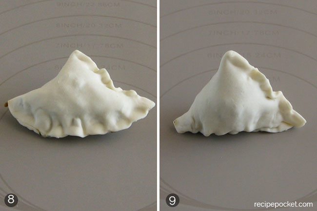 step by step samosa recipe