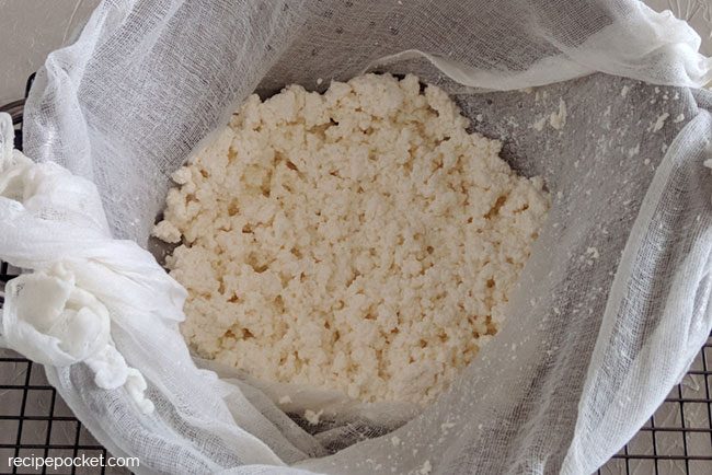 Curds in a muslin lined strainer.