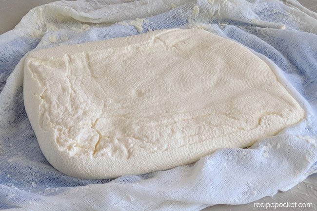 Fresh homemade paneer cheese, still in muslin cloth.