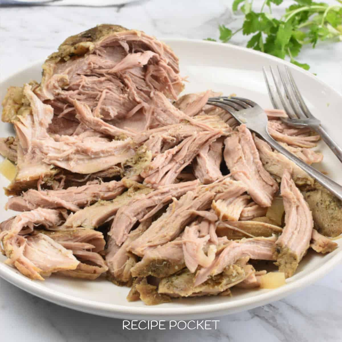 Shredded pulled pork on a white plate.