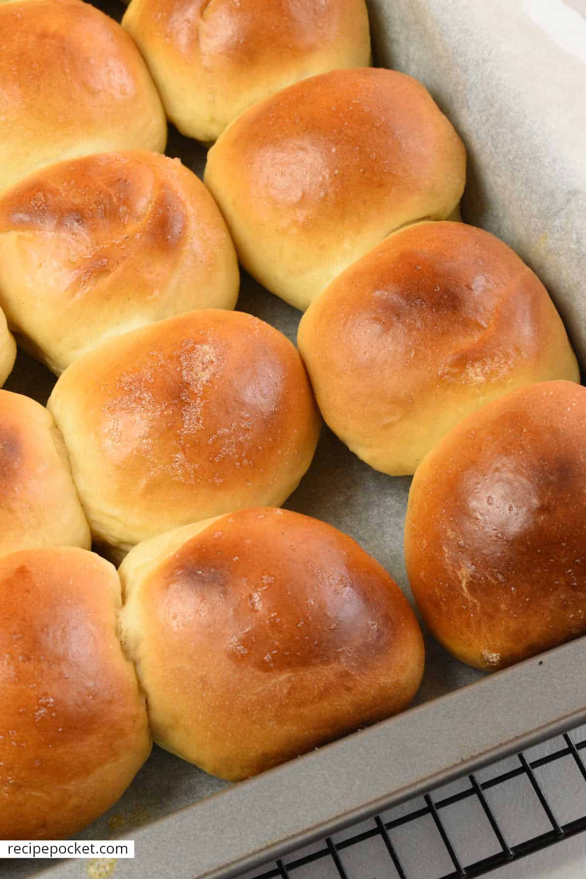 A tray of freshly baked golden brown dinner rolls.