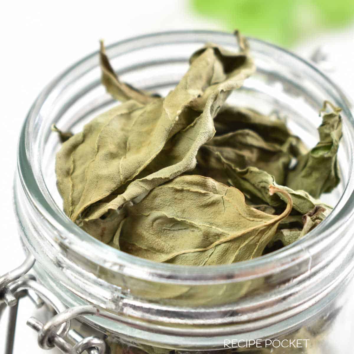 A closeup of a jar filled with dried basil leaves.