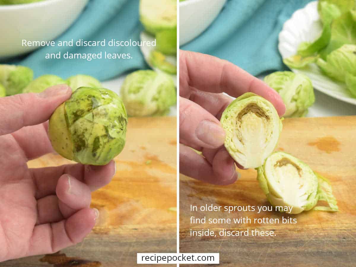 Image showing discoloured outer leaves on a spout and one that is rotten on the inside.