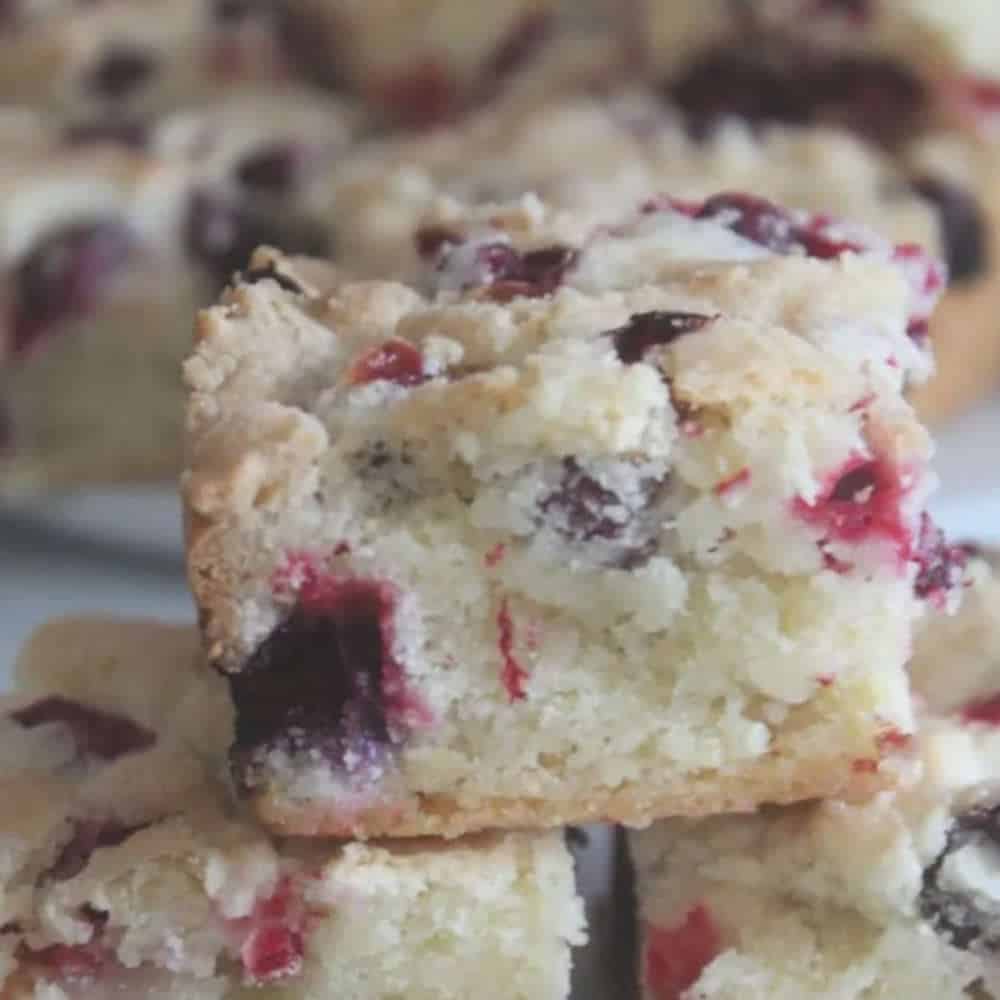 A close up of a slice of cranberry cake.