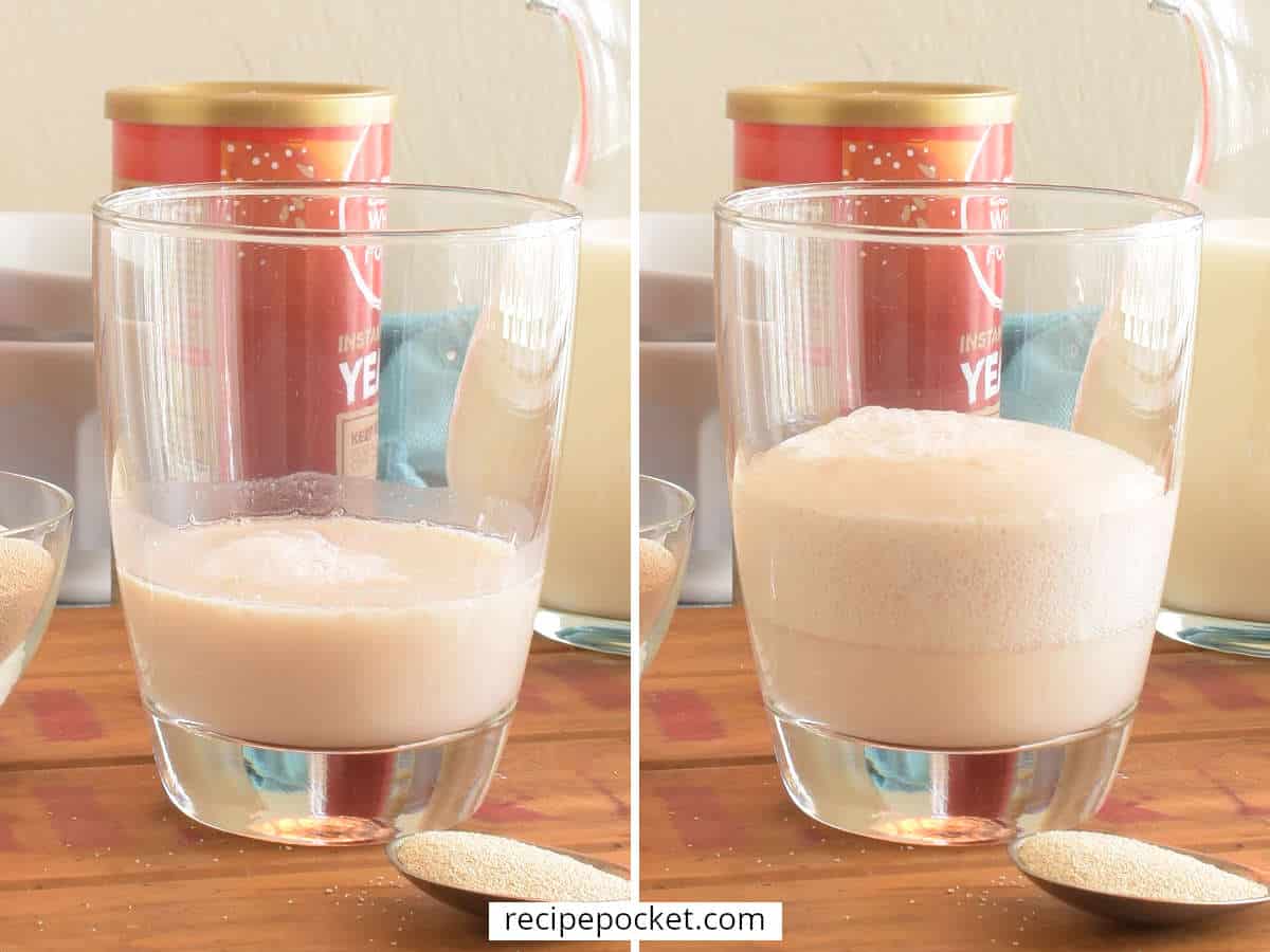 Instant yeast before and after activation.