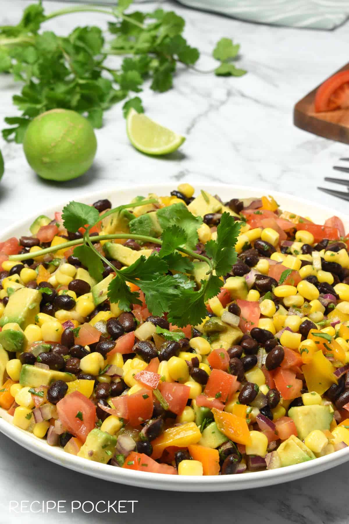 Salsa garnished with fresh coriander.