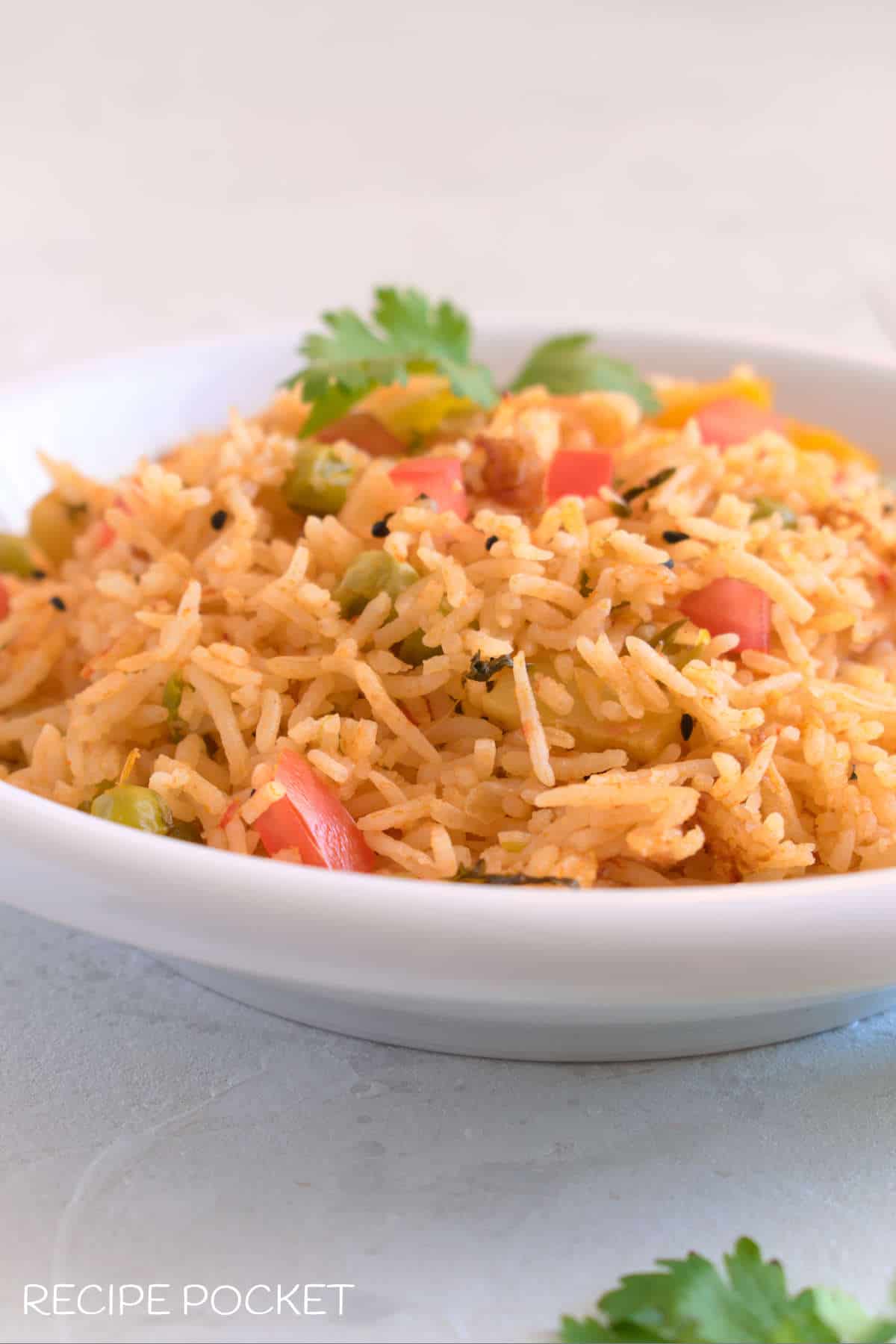 Close up cropped photo of rice in a bowl.