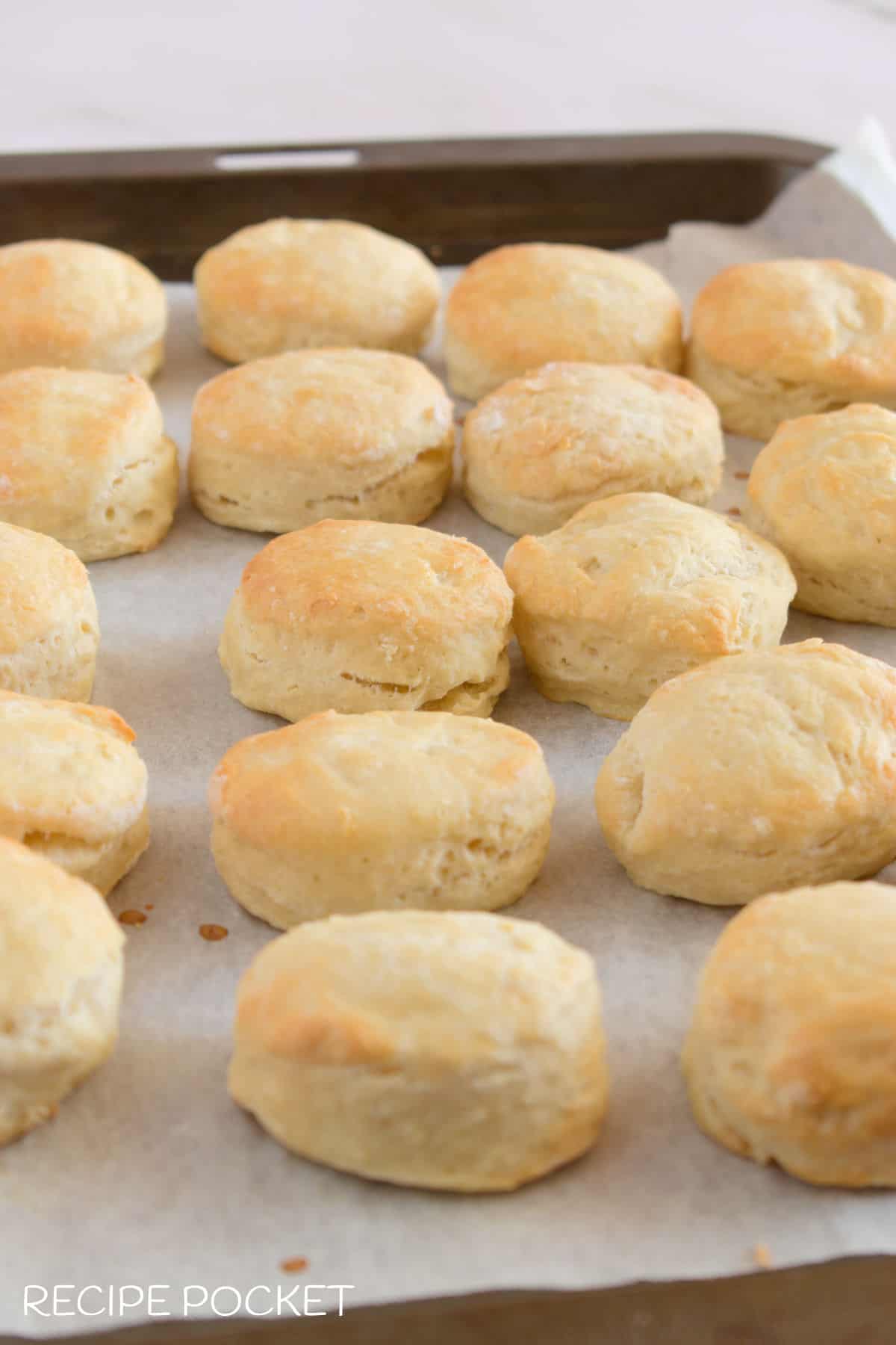 Freshly baked scones with golden brown tops.