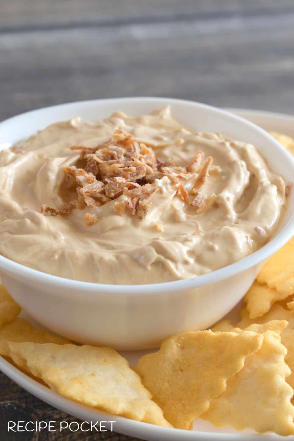 Closeup of dip with dried onion garnish.