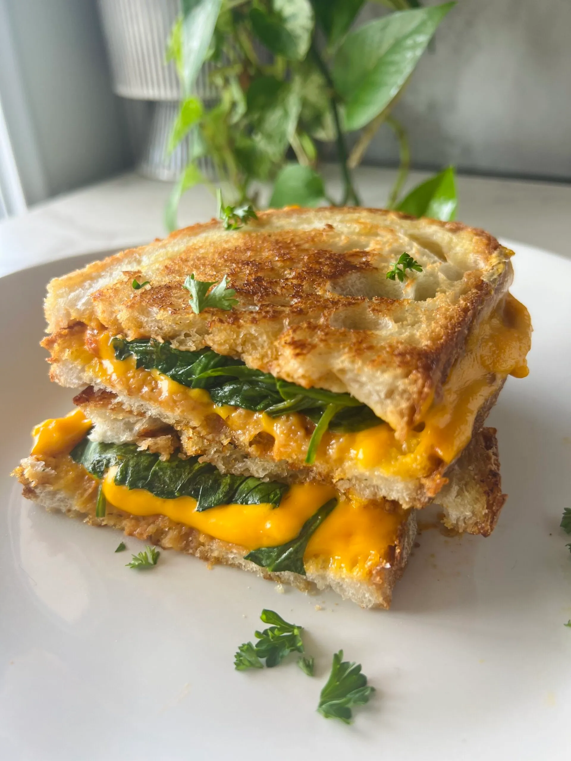 Grilled cheese sandwich.